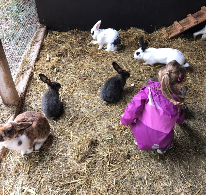 Franken mit Kindern: Urlaub auf dem Ferienhof Frankenhöhe in Markt Erlbach