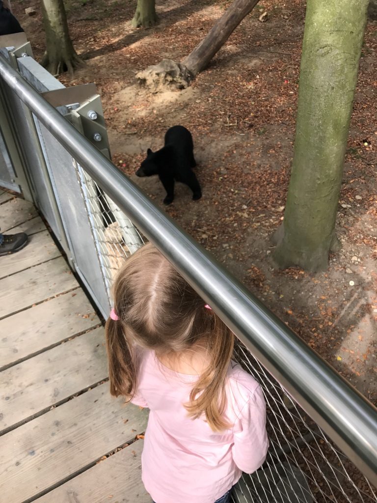 Zoo Osnabrück mit Kindern - Schwarzbär