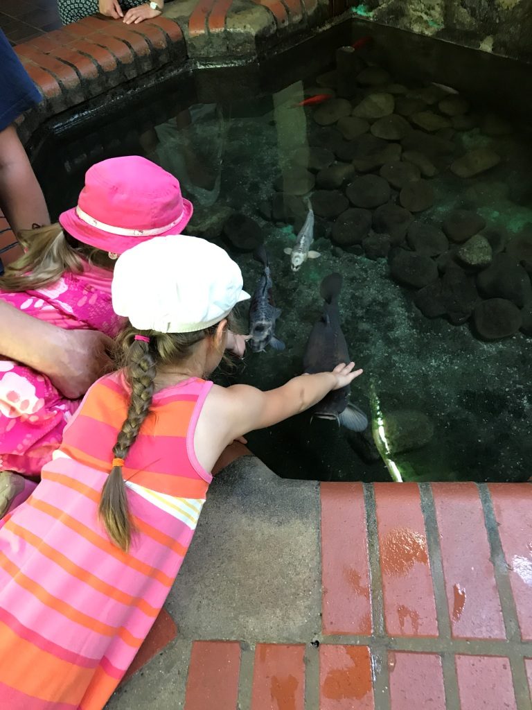 Zoo Osnabrück mit Kindern - Fische