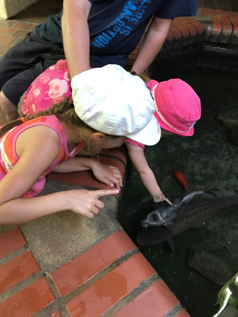 Zoo Osnabrück mit Kindern - Fische