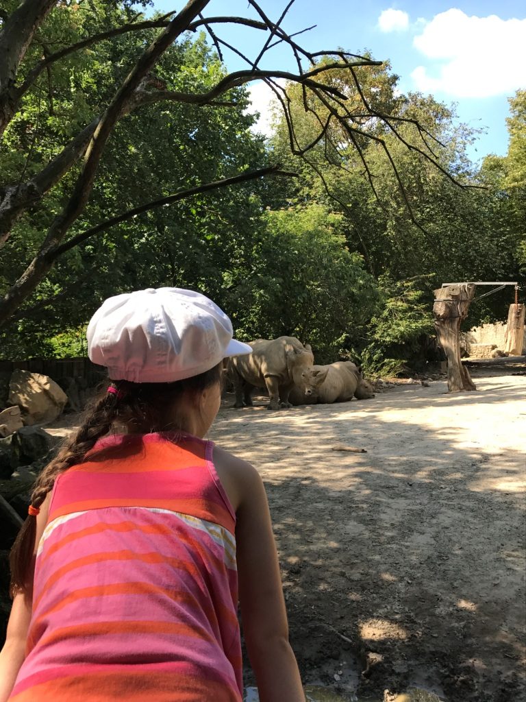 Zoo Osnabrück mit Kindern - Nashorn