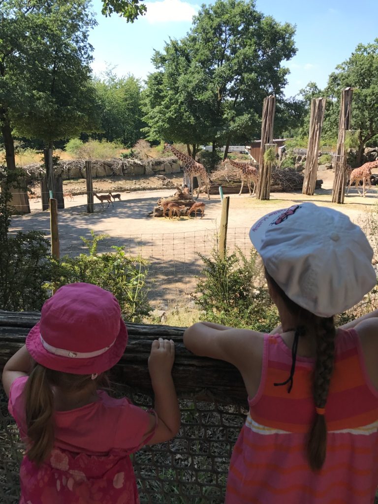 Zoo Osnabrück mit Kindern - Giraffen