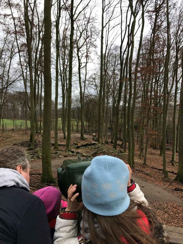 Zoo Osnabrück mit Kindern