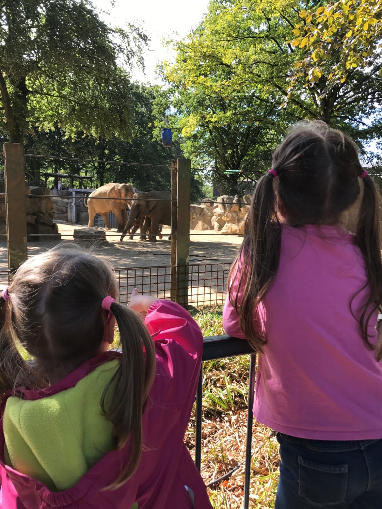 Zoo Osnabrück mit Kindern - Elefanten