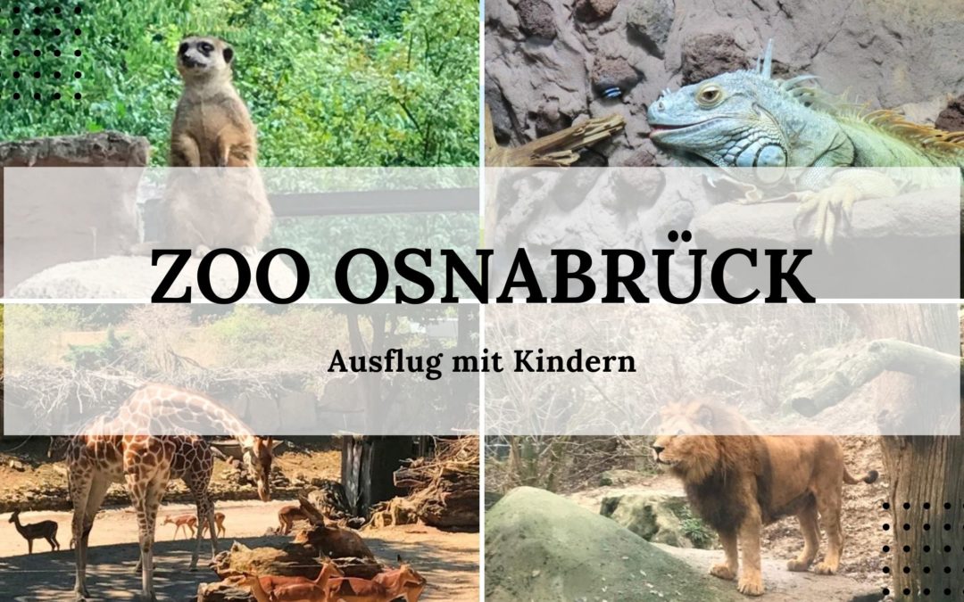 Zoo Osnabrück - Ausflug mit Kindern - Titelbild
