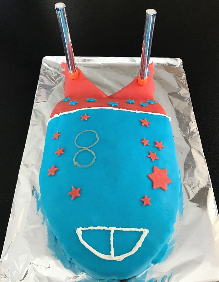 Rezept Raketenkuchen zum Kindergeburtstag Kuchen fertig verziert