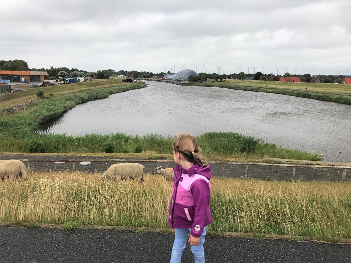 Nordsee mit Kindern - Urlaub in Friedrichskoog: Spaziergang am Deich zwischen Willi dem Indoor-Spiele-Wal und der Seehundstation
