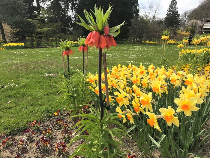 30am30 - 30 schöne Momente im April 2021 - Botanischer Garten