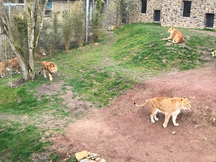 30am30 - 30 schöne Momente im April 2021 - Zoo Osnabrück