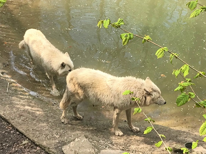 30am30 - 30 schöne Momente im Mai 2021 - Zoo Osnabrück