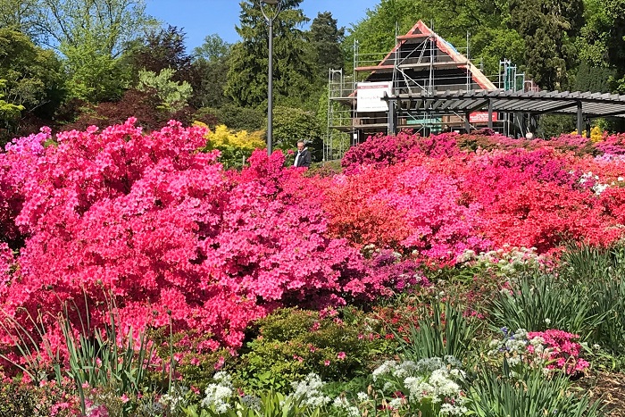 30am30 - 30 schöne Momente im Mai 2021 - botanischer Garten