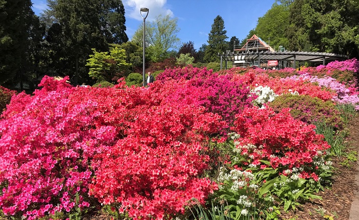 30am30 - 30 schöne Momente im Mai 2021 - botanischer Garten