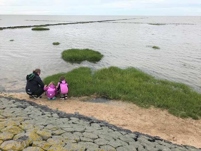 Nordsee mit Kindern - Urlaub in Friedrichskoog: Wanderung auf dem Trischendamm